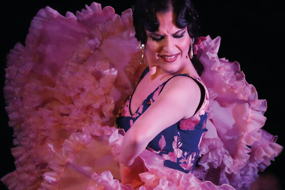 Una entrada a espectáculo de flamenco para 2 adultos y 1 niño (hasta 12 años) en Tablao Flamenco Casa Ana en Granada