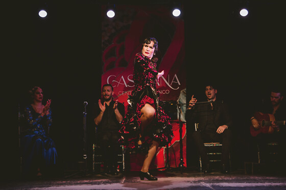 Una entrada a espectáculo de flamenco para 2 adultos y 1 niño (hasta 12 años) en Tablao Flamenco Casa Ana en Granada