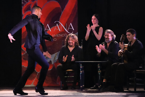 Una entrada a espectáculo de flamenco para 2 adultos y 1 niño (hasta 12 años) en Tablao Flamenco Casa Ana en Granada