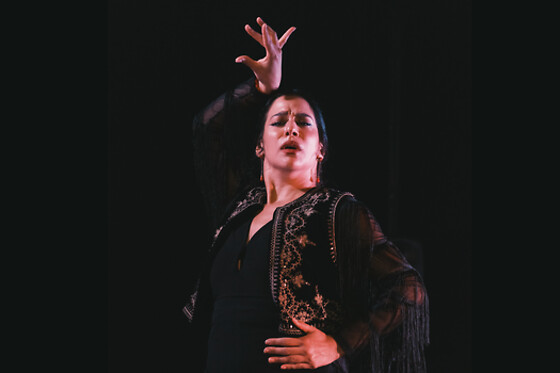 Una entrada a espectáculo de flamenco para 2 adultos y 1 niño (hasta 12 años) en Tablao Flamenco Casa Ana en Granada