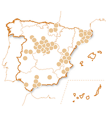 100% conducción