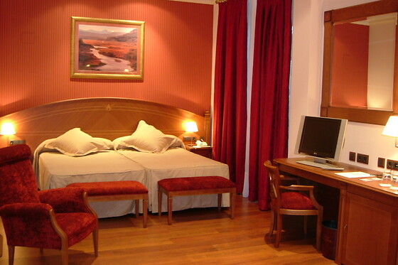 HOTEL PALACIO DE LA MAGDALENA - photo 10