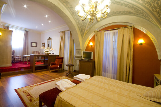 HOTEL PALACIO DE LA MAGDALENA - photo 11