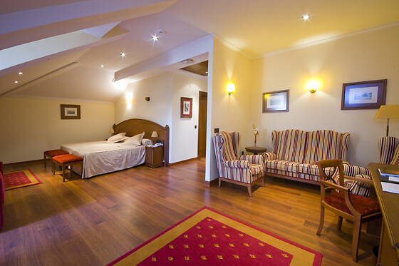 HOTEL PALACIO DE LA MAGDALENA - photo 12