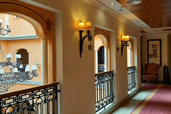 HOTEL PALACIO DE LA MAGDALENA - photo 14