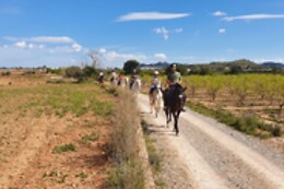 CENTRO HÍPICO CABALLOS NAVARRO