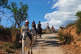 CENTRO HÍPICO CABALLOS NAVARRO