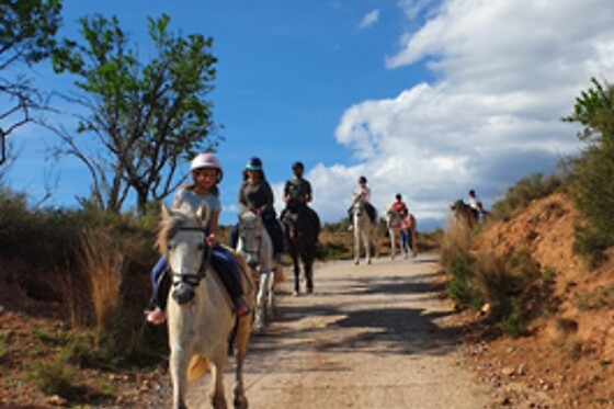 CENTRO HÍPICO CABALLOS NAVARRO - photo 2