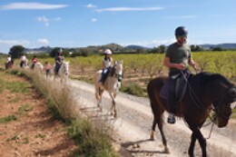 CENTRO HÍPICO CABALLOS NAVARRO