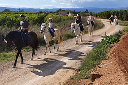 CENTRO HÍPICO CABALLOS NAVARRO