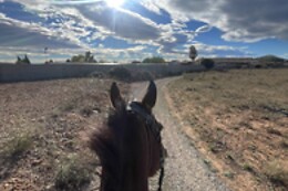 CENTRO HÍPICO CABALLOS NAVARRO