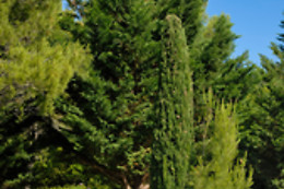 HOTEL SANTA CECILIA