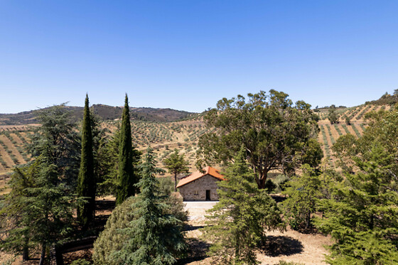 QUINTA DO PRADO - ACUSHLA - photo 4