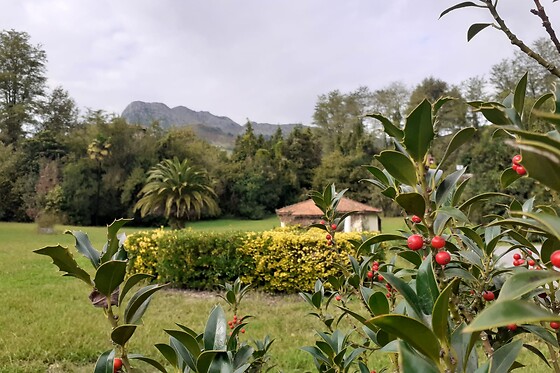 Un acceso a circuito spa y masaje para 2 en Balneario Casa Pallotti en Karrantza (Vizcaya)