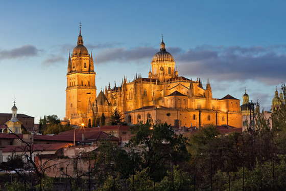 SALAMANCA ESPECTACULAR - photo 4