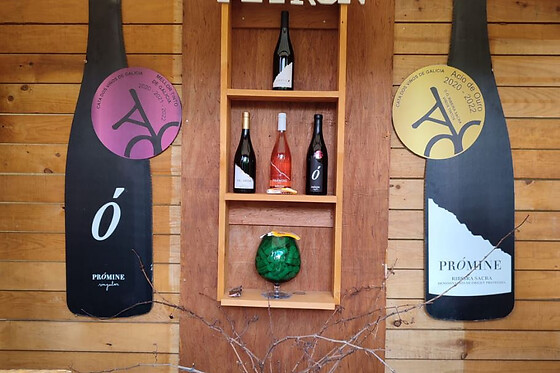 BODEGAS PETRÓN - photo 8