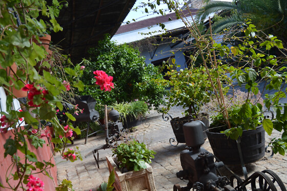 BODEGAS IGLESIAS - photo 2