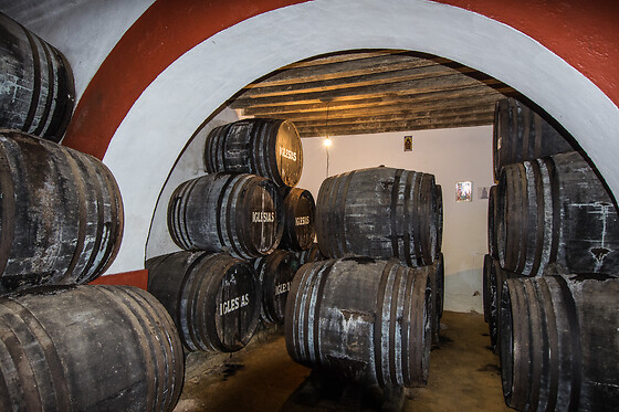 BODEGAS IGLESIAS - photo 5