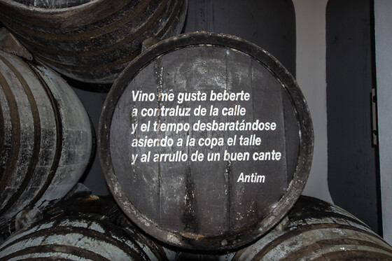 BODEGAS IGLESIAS - photo 7