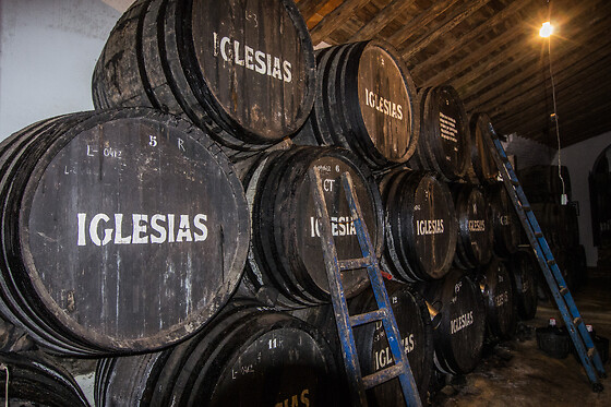 BODEGAS IGLESIAS - photo 8