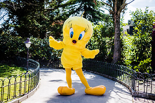 Especial Comunión: Parque Warner 2 días / 1 parque