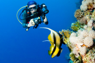 Una inmersión con equipo completo para 1 en Sotacero Diving en El Masnou (Barcelona)