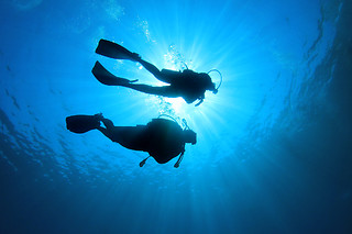 Una inmersión con equipo completo para 1 en Sotacero Diving en El Masnou (Barcelona)