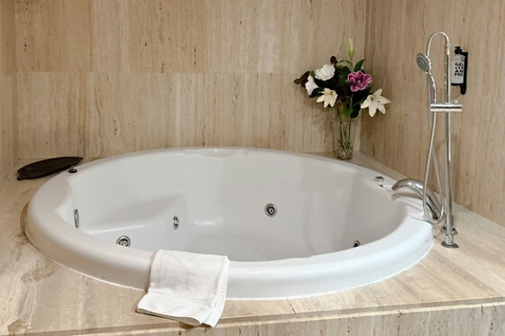 Una noche en suite con bañera hidromasaje para 2 en Hotel Segovia Sierra de Guadarrama en Los Ángeles de San Rafael (Segovia)