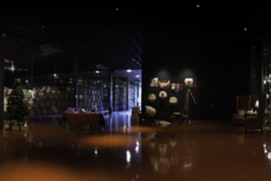 BODEGA MARQUES DE CACERES - photo 1