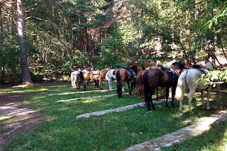 Un paseo a caballo para 2 en La Cuadra de Moncayo en San Martín de la Virgen del Moncayo (Zaragoza)