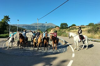 Un paseo a caballo para 2 en La Cuadra de Moncayo en San Martín de la Virgen del Moncayo (Zaragoza)