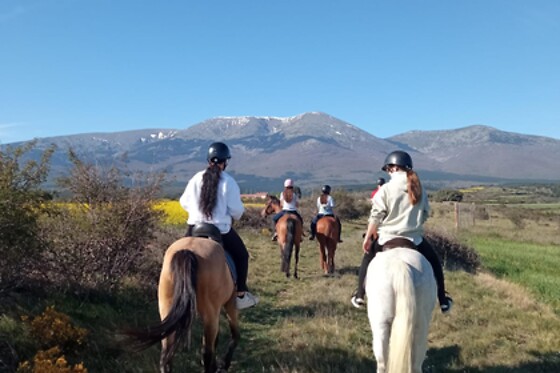 Un paseo a caballo para 2 en La Cuadra de Moncayo en San Martín de la Virgen del Moncayo (Zaragoza)