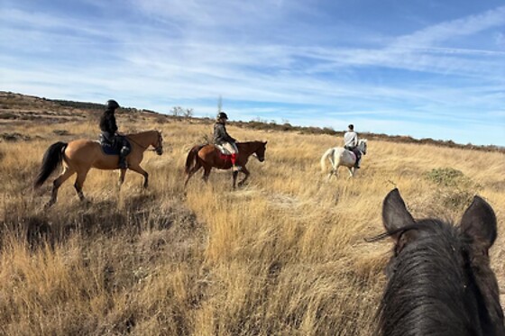 Un paseo a caballo para 2 en La Cuadra de Moncayo en San Martín de la Virgen del Moncayo (Zaragoza)