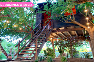 Una noche en Tree House con desayuno para 2 en Nature Tree House en Blanes (Girona)