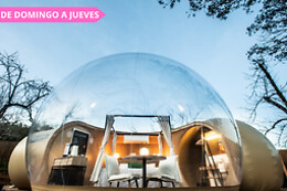 HORIZONTE BUBBLE