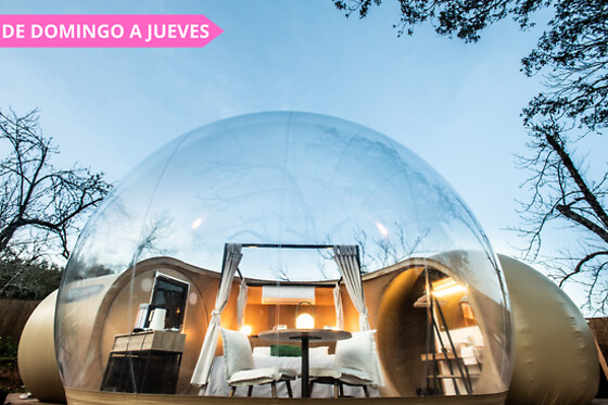 HORIZONTE BUBBLE - photo 13