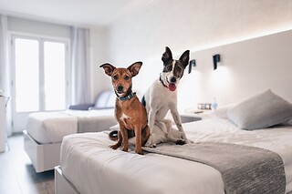 Dos noches con desayunos para 2 en Hotel Atlántico Vigo** en Vigo (Pontevedra)