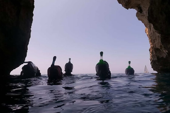 SCUBA PLUS - photo 6
