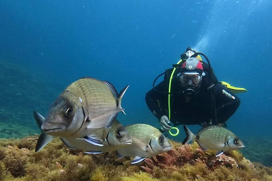 SCUBA PLUS - photo 3