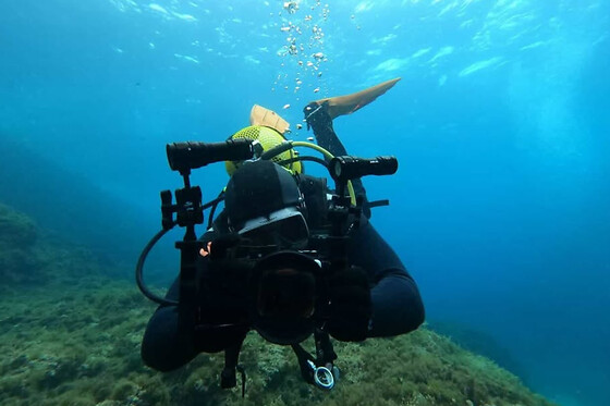 SCUBA PLUS - photo 8