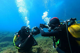 SCUBA PLUS