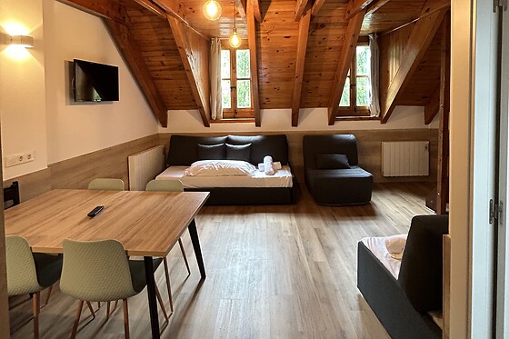 APARTAMENTOS SOLANA, HOTEL TAULL & ROMANIC - photo 5