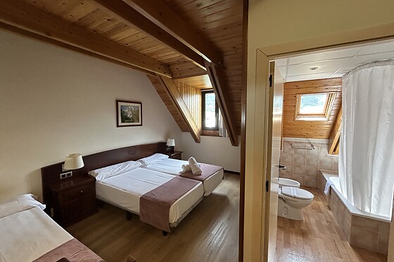 APARTAMENTOS SOLANA, HOTEL TAULL & ROMANIC - photo 6
