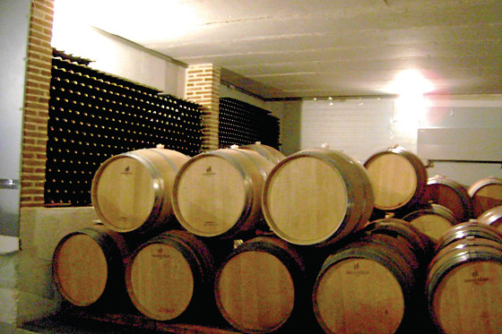 BODEGA ECOLOGICA LUIS SAAVEDRA - photo 0