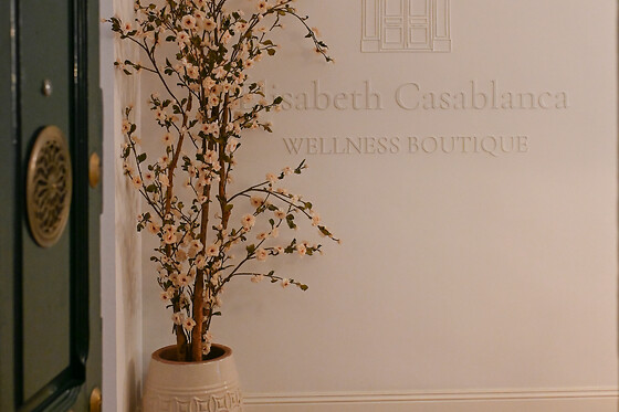 Un diseño de cejas con depilación y tinte para 1 Elisabeth Casablanca Wellness Boutique en Zaragoza