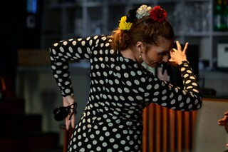 Un menú degustación y espectáculo flamenco para 2 en Restaurante Vino Mío en Málaga
