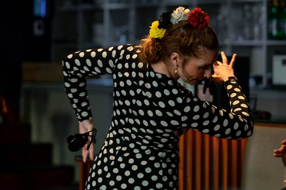 Un menú degustación y espectáculo flamenco para 2 en Restaurante Vino Mío en Málaga