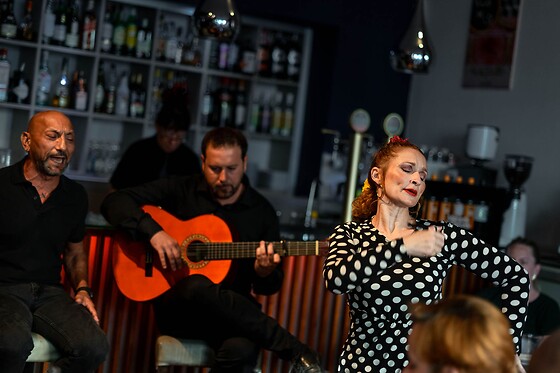 Un menú degustación y espectáculo flamenco para 2 en Restaurante Vino Mío en Málaga