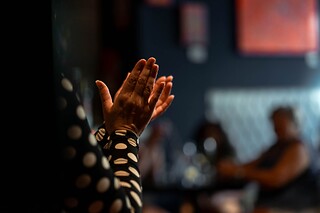 Un menú degustación y espectáculo flamenco para 2 en Restaurante Vino Mío en Málaga