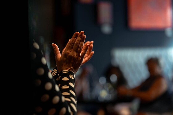 Un menú degustación y espectáculo flamenco para 2 en Restaurante Vino Mío en Málaga